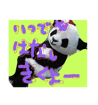 catheart（個別スタンプ：7）