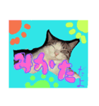 catheart（個別スタンプ：9）