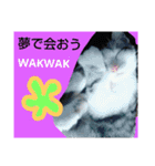 catheart（個別スタンプ：13）
