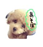 chibichan03（個別スタンプ：6）