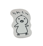 ぴよとかっぱ時々やお（個別スタンプ：1）