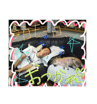 shunchan 2（個別スタンプ：5）