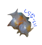 金魚のぽんちゃんと仲間達（個別スタンプ：2）