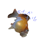 金魚のぽんちゃんと仲間達（個別スタンプ：3）
