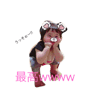 NoaMemories（個別スタンプ：7）