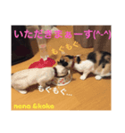nana ＆ koko 01（個別スタンプ：1）