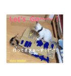 nana ＆ koko 01（個別スタンプ：2）