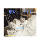 nana ＆ koko 01（個別スタンプ：3）