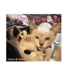 nana ＆ koko 01（個別スタンプ：4）