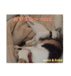 nana ＆ koko 01（個別スタンプ：6）