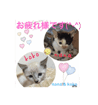 nana ＆ koko 01（個別スタンプ：7）