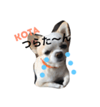 こた！（個別スタンプ：2）