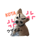 こた！（個別スタンプ：3）