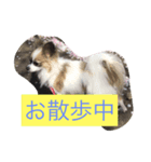 tiarasama（個別スタンプ：3）