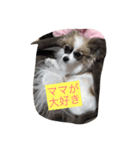 tiarasama（個別スタンプ：8）