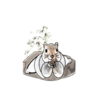 every day squirrel（個別スタンプ：3）
