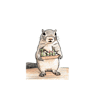 every day squirrel（個別スタンプ：7）