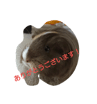 モッチの日常（個別スタンプ：8）
