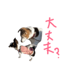 enjoy UMEKO（個別スタンプ：2）
