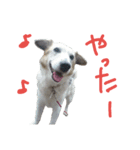 enjoy UMEKO（個別スタンプ：3）