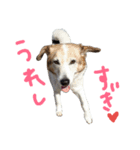 enjoy UMEKO（個別スタンプ：4）