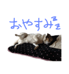 enjoy UMEKO（個別スタンプ：6）