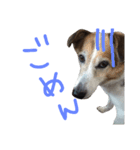 enjoy UMEKO（個別スタンプ：10）