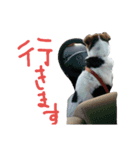 enjoy UMEKO（個別スタンプ：14）