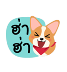 Short legs Corgi（個別スタンプ：11）