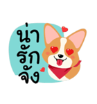 Short legs Corgi（個別スタンプ：12）