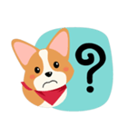 Short legs Corgi（個別スタンプ：15）