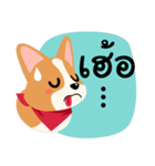 Short legs Corgi（個別スタンプ：20）