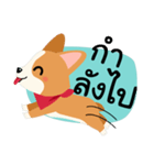 Short legs Corgi（個別スタンプ：24）