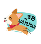 Short legs Corgi（個別スタンプ：36）