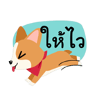 Short legs Corgi（個別スタンプ：40）