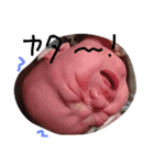 赤ちゃん1030（個別スタンプ：5）