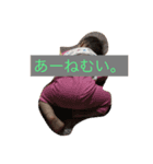 takupapa（個別スタンプ：5）