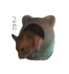 たいしょう #2（個別スタンプ：2）