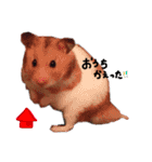 たいしょう #2（個別スタンプ：4）