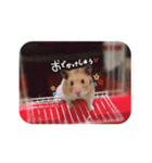 たいしょう #2（個別スタンプ：6）