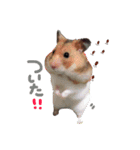 たいしょう #2（個別スタンプ：15）