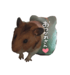 たいしょう #2（個別スタンプ：16）
