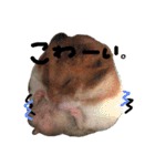 たいしょう #2（個別スタンプ：21）