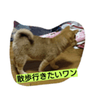 kumakihikun（個別スタンプ：2）