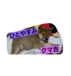 kumakihikun（個別スタンプ：3）