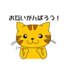 とらねこにゃん太4（個別スタンプ：33）
