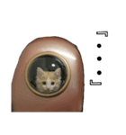 にこ＆もこ（個別スタンプ：8）