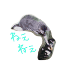 ペット達の日常（個別スタンプ：4）