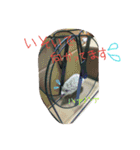ペット達の日常（個別スタンプ：10）