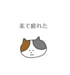 口の悪いネコ（個別スタンプ：4）